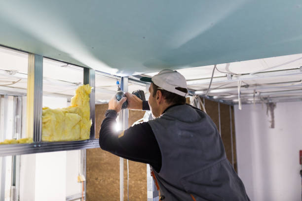 Best Insulation Materials and Products in Port Royal, SC